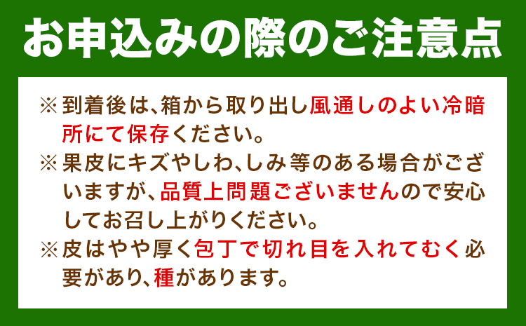 紀州有田産 初夏の柑橘 甘夏みかん 7kg 株式会社魚鶴商店《2025年5月中旬-6月上旬頃出荷》 和歌山県 日高町 みかん 甘夏みかん 柑橘