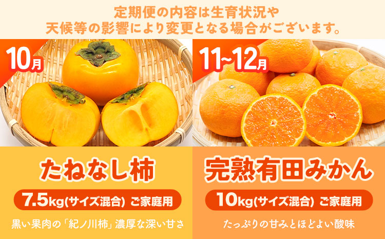 わかやま旬の フルーツ 定期便 【全4回】内容量 L 有田マルシェ《発送月固定・全4回出荷》 和歌山県 日高町 苺 いちご 柑橘 オレンジ 小玉 みかん 有田 みかん たねなし柿 柿 桃 モモ もも 果物 定期 柑橘 果物【配送不可地域あり】