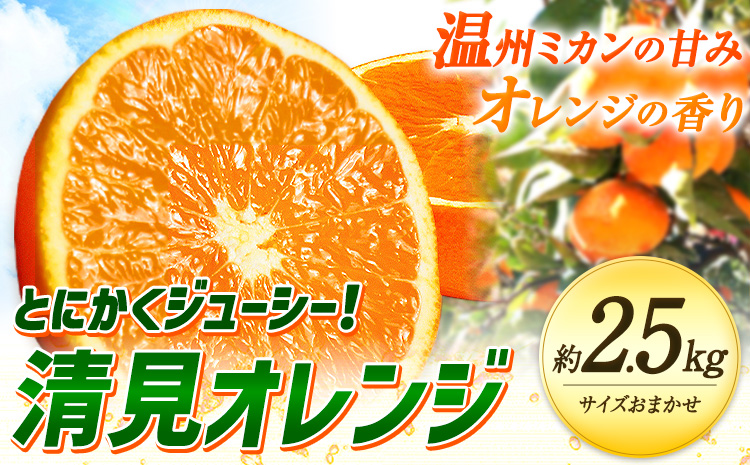 ＜先行予約＞とにかくジューシー 清見 オレンジ 約2.5kg 株式会社魚鶴商店《2027年3月下旬-4月下旬頃出荷》和歌山県 日高町 柑橘 果物 フルーツ 清見オレンジ