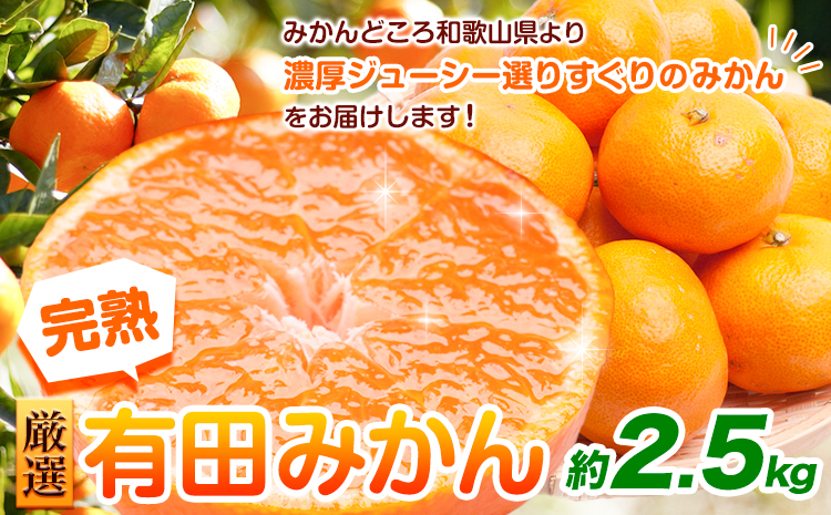 ＜先行予約＞厳選　完熟有田みかん2.5kg+75g（傷み補償分）【光センサー選果】 池田鹿蔵農園@日高町（池田農園株式会社）《11月中旬-1月末頃出荷》和歌山県 日高町【配送不可地域あり】