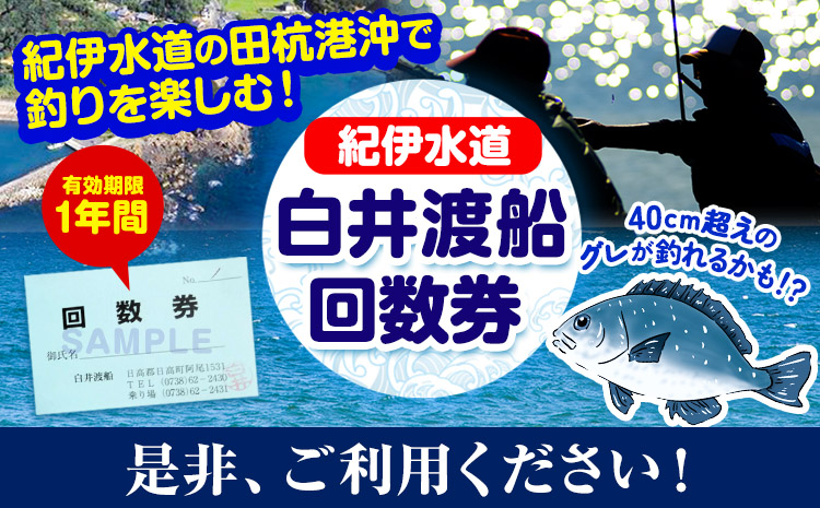 紀伊水道 白井渡船回数券  11枚《90日以内に出荷予定(土日祝除く)》和歌山県  日高町 紀伊水道 釣り 沖 グレ 船 渡船 回数券