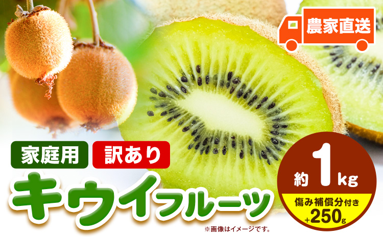 先行予約 ご家庭用 キウイ フルーツ 約1kg ＋250g (傷み補償分) 池田鹿蔵農園@日高町（池田農園株式会社）《11月中旬～2027年4月下旬出荷》【配送不可地域あり】和歌山県 日高町 わけあり 訳あり 扁平果