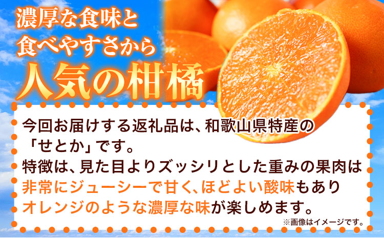 【先行予約】とろける食感!ジューシー柑橘 せとか 約3kg 株式会社魚鶴商店《2025年2月下旬-3月下旬頃出荷》 和歌山県 日高町 せとか 柑橘