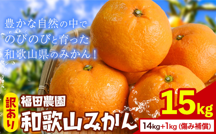 訳あり 和歌山みかん  14kg+1kg（傷み補償分） 計15kg サイズ混合 和歌山県産 ご家庭用 福田農園 《11月中旬-2月中旬頃出荷》 和歌山県 日高町 送料無料 みかん 柑橘 柑橘類 ミカン 訳ありみかん 選べる 内容量