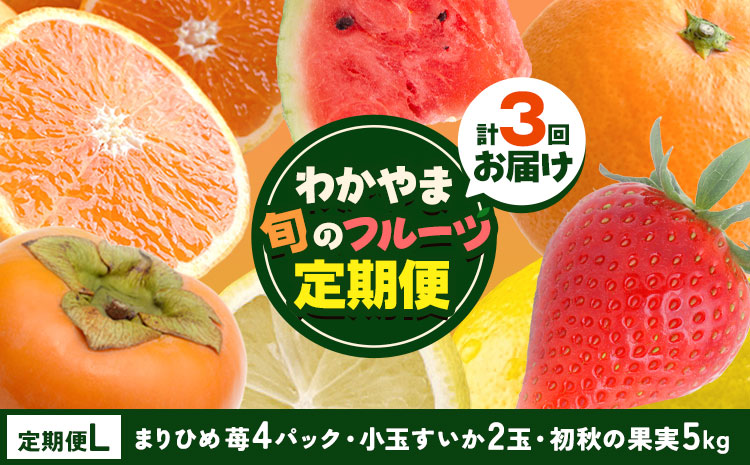 わかやま旬の フルーツ 定期便 【全3回】内容量 L 有田マルシェ《発送月固定・全3回出荷》 和歌山県 日高町 苺 いちご 柑橘 オレンジ 小玉 スイカ レモン みかん 有田 みかん 柿 果物 定期 柑橘 果物【配送不可地域あり】