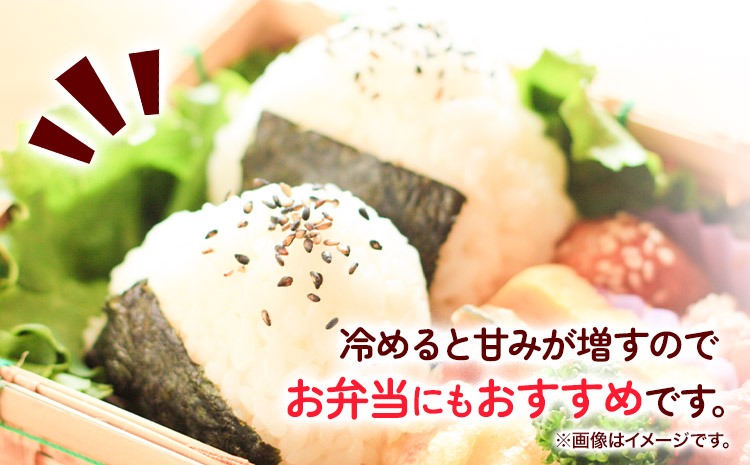 令和6年産 粒より米 きぬひかり 5kg  JA紀州 さわやか日高《90日以内に出荷予定(土日祝除く)》 和歌山県 日高町 米 こめ コメ きぬひかり キヌヒカリ 送料無料 精米