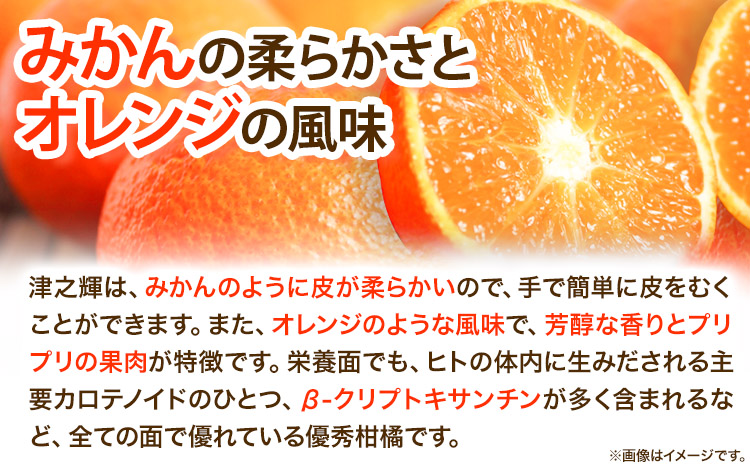 【先行予約】津之輝(つのかがやき)　約5kg  株式会社魚鶴商店《2025年2月上旬-2月末頃出荷予定》 和歌山県 日高町  柑橘 フルーツ