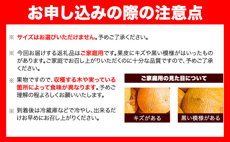 みかん ご 家庭用 完熟 有田みかん 約 4kg 有田マルシェ《2024年11月上旬-1月中旬頃出荷予定》 和歌山県 日高町 みかん 有田みかん 柑橘 フルーツ 完熟 送料無料 訳あり みかん 蜜柑 ミカン 柑橘