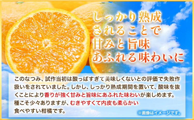 希少柑橘 和歌山産なつみ約5kg S 2lサイズおまかせ 厳選館 4月上旬 5月上旬より順次出荷 和歌山県 日高町 みかん なつみ 南津海 柑橘 果物 フルーツ 送料無料 Jalふるさと納税 Jalのマイルがたまるふるさと納税サイト