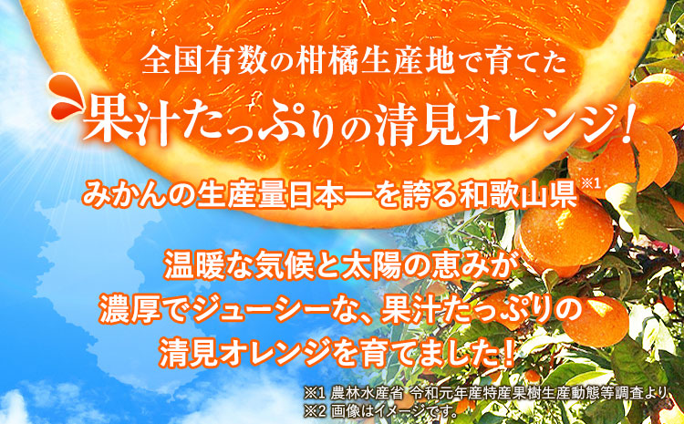 ＜先行予約＞【ご家庭用訳アリ】 紀州有田産清見オレンジ 7.5kg 株式会社魚鶴商店《2025年3月上旬-4月上旬頃出荷》 和歌山県  オレンジ 柑橘 ご家庭用
