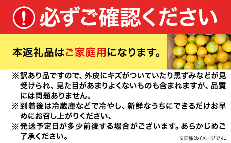 【先行予約】【ご家庭用訳あり】希少な国産バレンシアオレンジ 約7kg 株式会社魚鶴商店《2025年6月下旬-7月上旬出荷》和歌山県 日高町