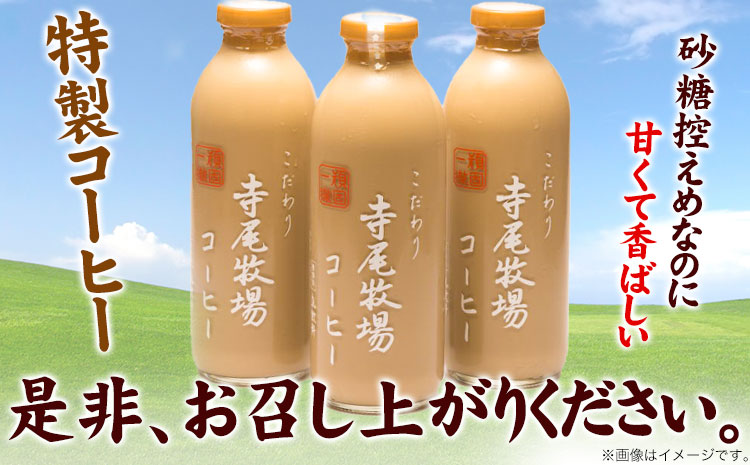 寺尾牧場のこだわり特製コーヒー3本セット 厳選館《90日以内に出荷予定(土日祝除く)》 和歌山県 日高町