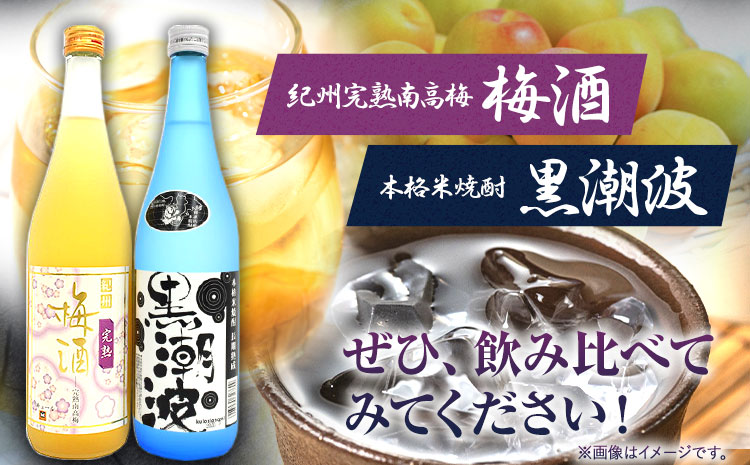 本格米焼酎 黒潮波 （くろしおなみ） と 紀州完熟南高梅 梅酒 720ml×各1本 2本セット 厳選館《90日以内に出荷予定(土日祝除く)》 和歌山県 日高町 酒 梅酒 焼酎 米焼酎 果実酒