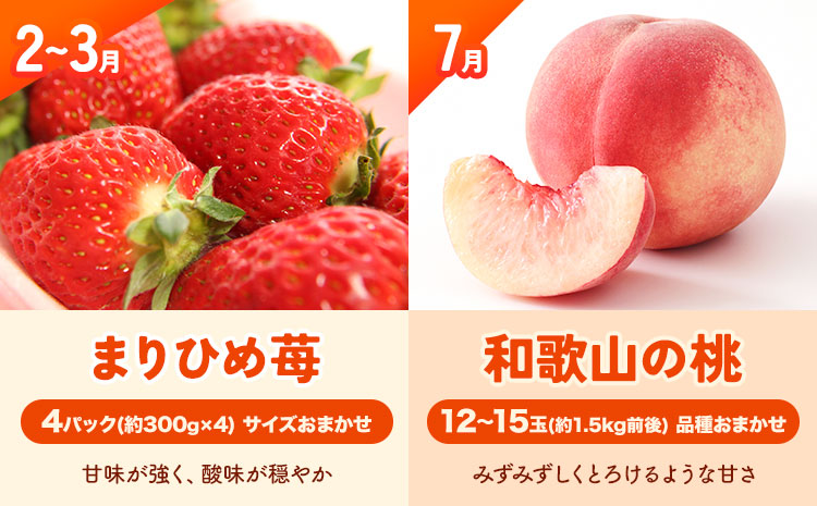 わかやま旬の フルーツ 定期便 【全4回】内容量 L 有田マルシェ《発送月固定・全4回出荷》 和歌山県 日高町 苺 いちご 柑橘 オレンジ 小玉 みかん 有田 みかん たねなし柿 柿 桃 モモ もも 果物 定期 柑橘 果物【配送不可地域あり】