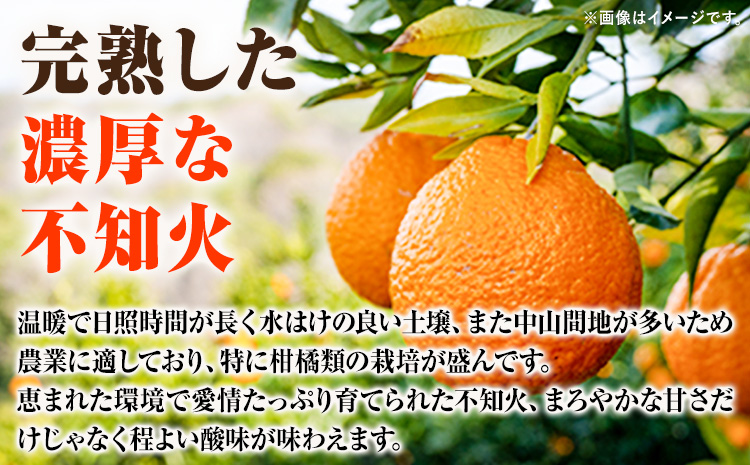 【先行予約】【ご家庭用】紀州有田産不知火(しらぬひ) 約8.5kg 株式会社魚鶴商店《2025年2月上旬-3月下旬頃出荷》 和歌山県 日高町 不知火 しらぬい 柑橘 ご家庭用