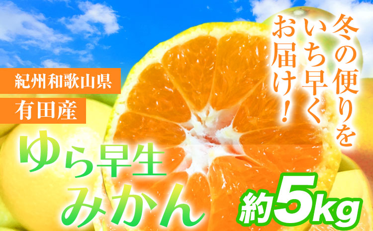 紀州和歌山有田産 ゆら早生みかん 約5kg 株式会社魚鶴商店《2025年10月上旬-11月上旬頃出荷》 和歌山県 日高町 みかん 早生 柑橘