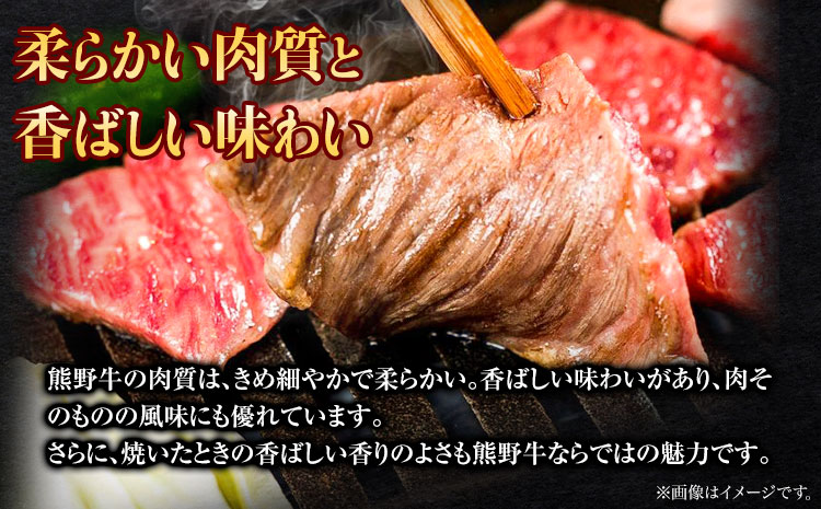 熊野牛 ミスジブロック 500g(粉山椒付) 澤株式会社(Meat Factory)《30日以内に出荷予定(土日祝除く)》 和歌山県 日高町 熊野牛 牛 うし 牛肉 ミスジ ステーキ ブロック 山椒 送料無料