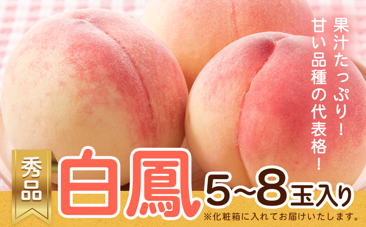 ＜先行予約＞和歌山県産 白鳳 桃 5～8玉入り 秀品 株式会社松源《2025年6月下旬-7月末より発送予定》和歌山県 日高町 果物 フルーツ 桃 もも 送料無料