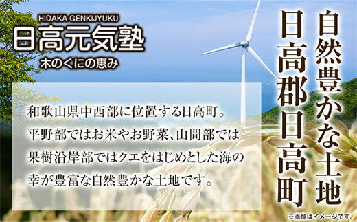 木の国の恵みなた豆茶セット 日高元気塾《90日以内に出荷予定(土日祝除く)》 和歌山県 日高町 なた豆 豆 お茶 茶 セット