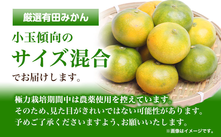 ＜先行予約＞厳選　極早生有田みかん5kg+150g（傷み補償分）【YN26・ゆら早生】 池田鹿蔵農園@日高町（池田農園株式会社）《9月中旬-11月中旬頃出荷》和歌山県 日高町