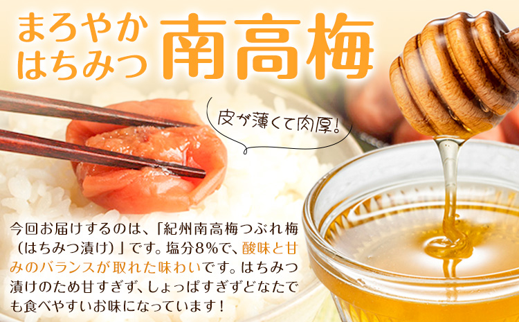 紀州南高梅 つぶれ梅 はちみつ漬 塩分8％ 1パック400g×3パック 株式会社味季屋《30日以内に出荷予定(土日祝除く)》和歌山県 日高町 梅 梅干し 南高梅 はちみつ梅