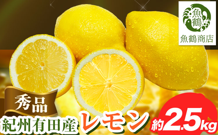 【秀品】紀州 有田産 レモン 約2.5kg 魚鶴商店《3月上旬-4月中旬頃出荷》和歌山県 日高町 柑橘 れもん 檸檬