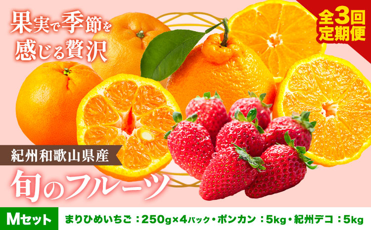 【発送月固定定期便】紀州和歌山県産 旬のフルーツ (いちご・ポンカン・紀州デコ) 全3回 Mセット 魚鶴商店《1月上旬-3月下旬頃出荷》 和歌山県 日高町 まりひめ いちご ポンカン 紀州デコ 不知火 定期便 フルーツ 果物 定期便