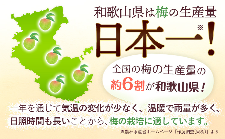 実くずれ梅 3種類セット （幸梅漬・馥梅・しそ梅） 計1.2kg おかざき酒店（日高町５）《90日以内に出荷予定(土日祝除く)》和歌山県 日高町 梅干し セット 紀州南高梅