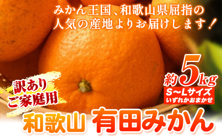 【訳あり・ご家庭用】和歌山有田みかん 5kg（S〜Lサイズいずれかお届け） 厳選館 《11月中旬-2月上旬頃出荷予定》 和歌山県 日高町 みかん 有田みかん 柑橘 フルーツ