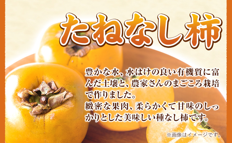 【先行予約】【秋の味覚】和歌山産のたねなし柿2L〜4Lサイズ約4kg（化粧箱入り）《10月上旬-11月下旬頃出荷予定》 和歌山県 日高町 かき 種なし