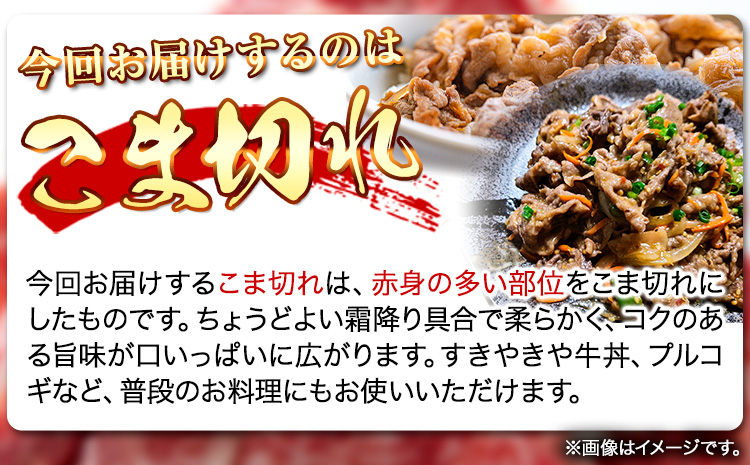 熊野牛 A4 以上 霜降り 赤身 こま切れ 500g 株式会社魚鶴商店《30日以内に出荷予定(土日祝除く)》 和歌山県 日高町 熊野牛 黒毛和牛 A4等級以上 赤身 こま切れ 牛肉 肉 