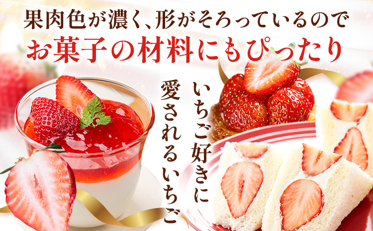 【先行予約】いちご 和歌山県産 紀州和歌山 ブランド いちご まりひめ 計1kg 250g×4パック 株式会社魚鶴商店 《1月上旬-2月下旬頃出荷》 和歌山県 日高町 フルーツ 果物 スイーツ 甘い