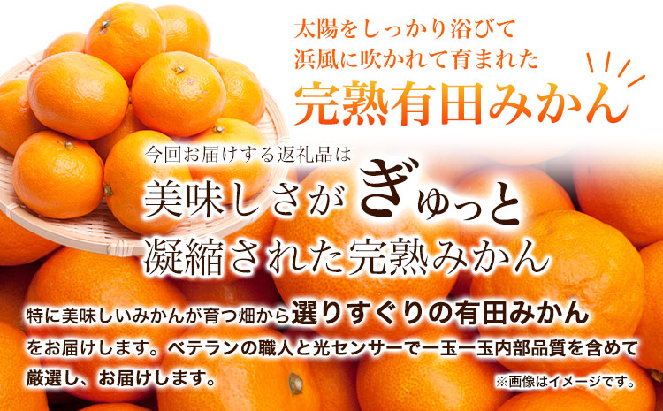 ＜先行予約＞厳選　完熟有田みかん5kg+150g（傷み補償分）【光センサー選果】 池田鹿蔵農園@日高町（池田農園株式会社）《11月中旬-1月末頃出荷》和歌山県 日高町【離島配送不可】