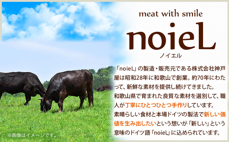 贅沢グルメを味わえる熊野牛「生」ハンバーグ10個セット  神戸屋《90日以内に出荷予定(土日祝除く)》 和歌山県 日高町 熊野牛 牛 うし ハンバーグ 生ハンバーグ 惣菜 送料無料