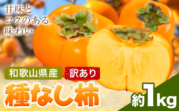 家庭用 種なし柿 約1kg 訳あり 池田鹿蔵農園《10月上旬-12月上旬頃出荷》和歌山県 日高町 刀根早生柿 平核無柿 ひらたねなしかき カキ 種なし柿