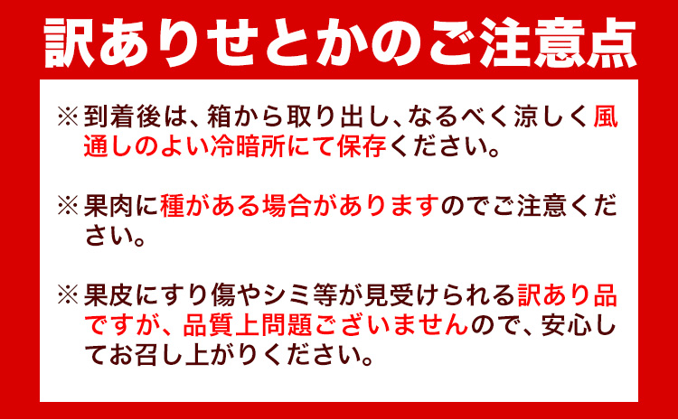 【先行予約】【家庭用 訳あり】とろける食感!ジューシー柑橘 せとか 約 3kg 魚鶴商店 《2027年2月下旬-3月中旬頃出荷》 和歌山県 日高町 みかん 柑橘 果物 フルーツ 送料無料