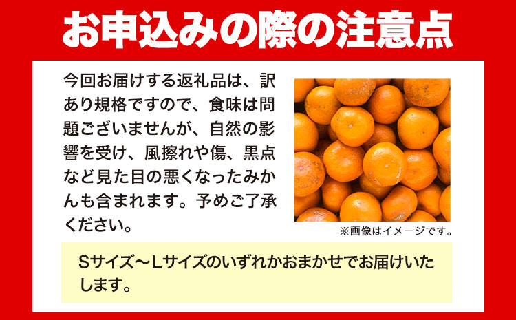 【訳あり・ご家庭用】和歌山有田みかん 5kg（S〜Lサイズいずれかお届け） 厳選館 《11月中旬-2月上旬頃出荷予定》 和歌山県 日高町 みかん 有田みかん 柑橘 フルーツ