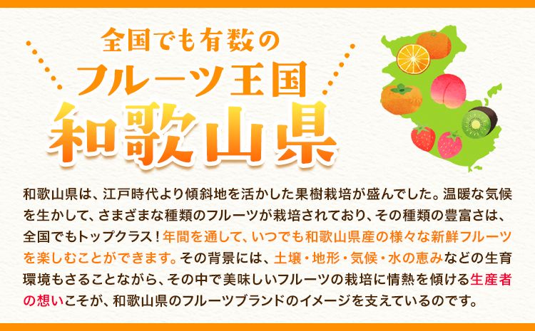 露地栽培の甘い 不知火 (デコ) 6玉 約1.5kg きよ農園《2025年2月中旬-3月末頃出荷(土日祝除く)》和歌山県 日高町 柑橘 不知火 しらぬい デコポン と同品種 フルーツ 果物 スイーツくだもの