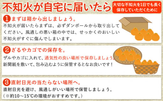 不知火 ( デコポンと同品種 ) しらぬい 約10kg (L～5Lサイズ) どの坂果樹園《2025年2月中旬-4月上旬頃出荷》 和歌山県 日高町 しらぬい 不知火 デコポン でこぽん 旬 果物 フルーツ 柑橘 産地直送 送料無料