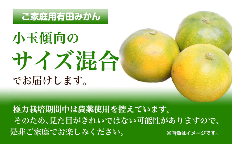 ＜先行予約＞家庭用　極早生有田みかん4.5kg+135g（傷み補償分）【YN26・ゆら早生】【わけあり・訳あり】 池田鹿蔵農園@日高町（池田農園株式会社）《9月中旬-11月中旬頃出荷》和歌山県 日高町