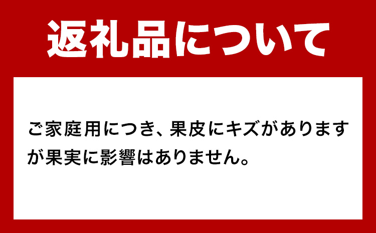 主井農園の季節のこだわりみのりセット ご家庭用 約 5kg 主井農園《2月中旬-4月下旬頃出荷予定》 和歌山県 日高町 柑橘 みかん オレンジ せとか 清見オレンジ たまみ 不知火 デコポン 八朔 レモン 果物 詰合せ 訳あり 送料無料