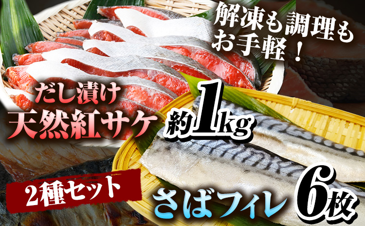 迷ったらコレ!魚鶴商店の天然紅サケ1kg &塩さばフィレ6枚セット 株式会社魚鶴商店《30日以内に出荷予定(土日祝除く)》 和歌山県 日高町 さば 鯖 鮭 サケ さけ しゃけ