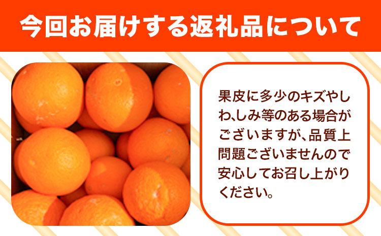 ＜先行予約＞【ご家庭用訳アリ】 紀州有田産清見オレンジ 7.5kg 株式会社魚鶴商店《2025年3月上旬-4月上旬頃出荷》 和歌山県  オレンジ 柑橘 ご家庭用