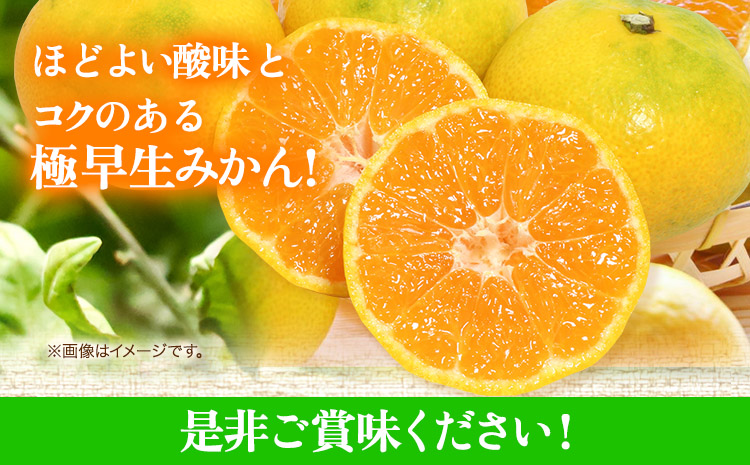 【厳選】紀州有田の完熟極早生みかん約7.5kg(2S〜2Lサイズ混合)《10月中旬-11月下旬頃出荷予定》和歌山県 日高町 フルーツ 果物 極早生