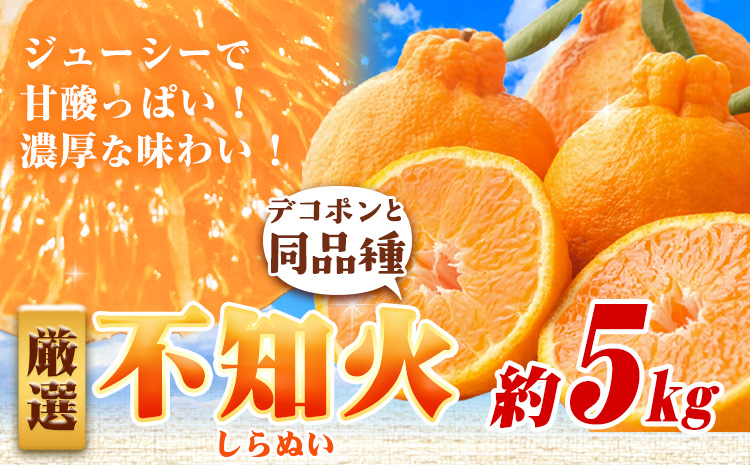 å³éž äžç¥ç«5kg+250gïŒå·ã¿è£ååïŒããã³ãã³ãšååçš®ã»äººæ°ã®æ¥ã¿ããããå
ã»ã³ãµãŒã§é£ã¹é åºè·ã æ± ç°é¹¿èµèŸ²å@æ¥é«çºïŒæ± ç°èŸ²åæ ªåŒäŒç€ŸïŒã2æäžæ¬-3ææ«é åºè·ãåæå±±ç æ¥é«çºãé
éäžå¯å°åããã