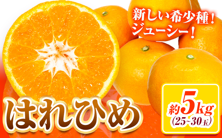 【先行予約】みかん はれひめ 約5kg 25玉 ～ 30玉 紀農人株式会社《2025年12月中旬-2月上旬頃出荷》 和歌山県 日高町 果物 フルーツ 柑橘 蜜柑 柑橘類 旬