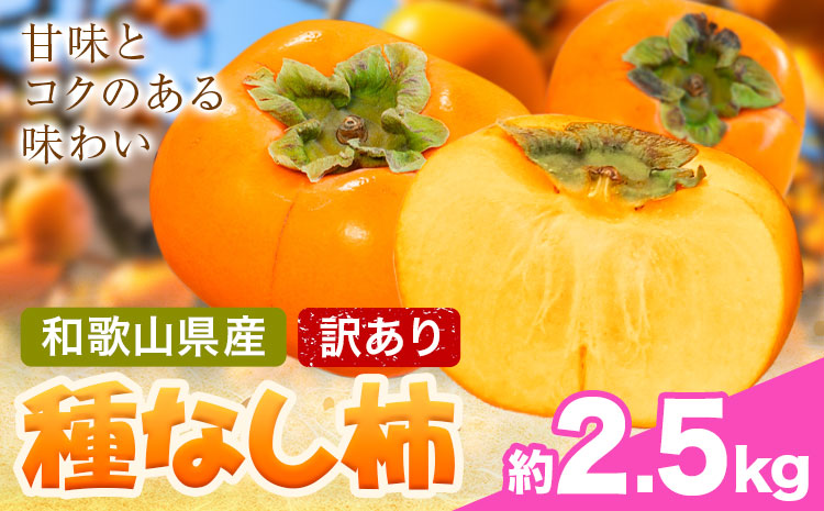 家庭用 種なし柿 約2.5kg 訳あり 池田鹿蔵農園《10月上旬-12月上旬頃出荷》和歌山県 日高町 刀根早生柿 平核無柿 ひらたねなしかき カキ 種なし柿