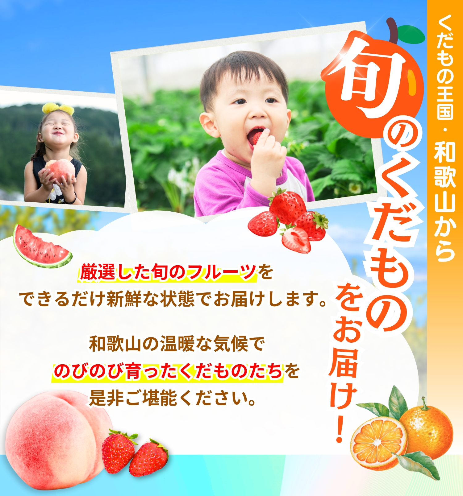 わかやま旬のくだもの定期便　全6回【Ｓ】※北海道・沖縄・離島への配送不可 （配送日時指定不可） / 定期便 フルーツ いちご イチゴ 清見オレンジ すいか 桃 柿 みかん 6回 和歌山【ard-tkb900A】 