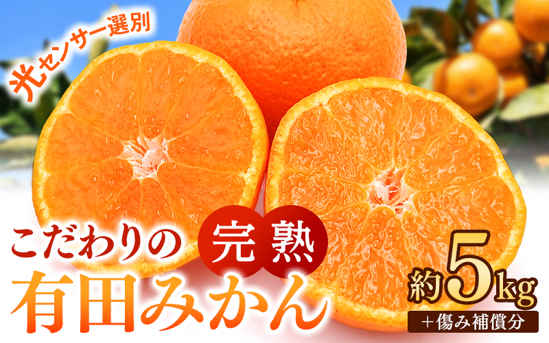 早期先行予約！ こだわりの有田みかん 約8kg＋250g(傷み補償分) 【ご家庭用】【12月発送】 光センサー選別品 農家直送品 ※北海道・沖縄・離島配送不可 / みかん 有田みかん 温州みかん 柑橘 果物 くだもの フルーツ 有田 和歌山 和歌山県産 産地直送 【nuk100-12】 