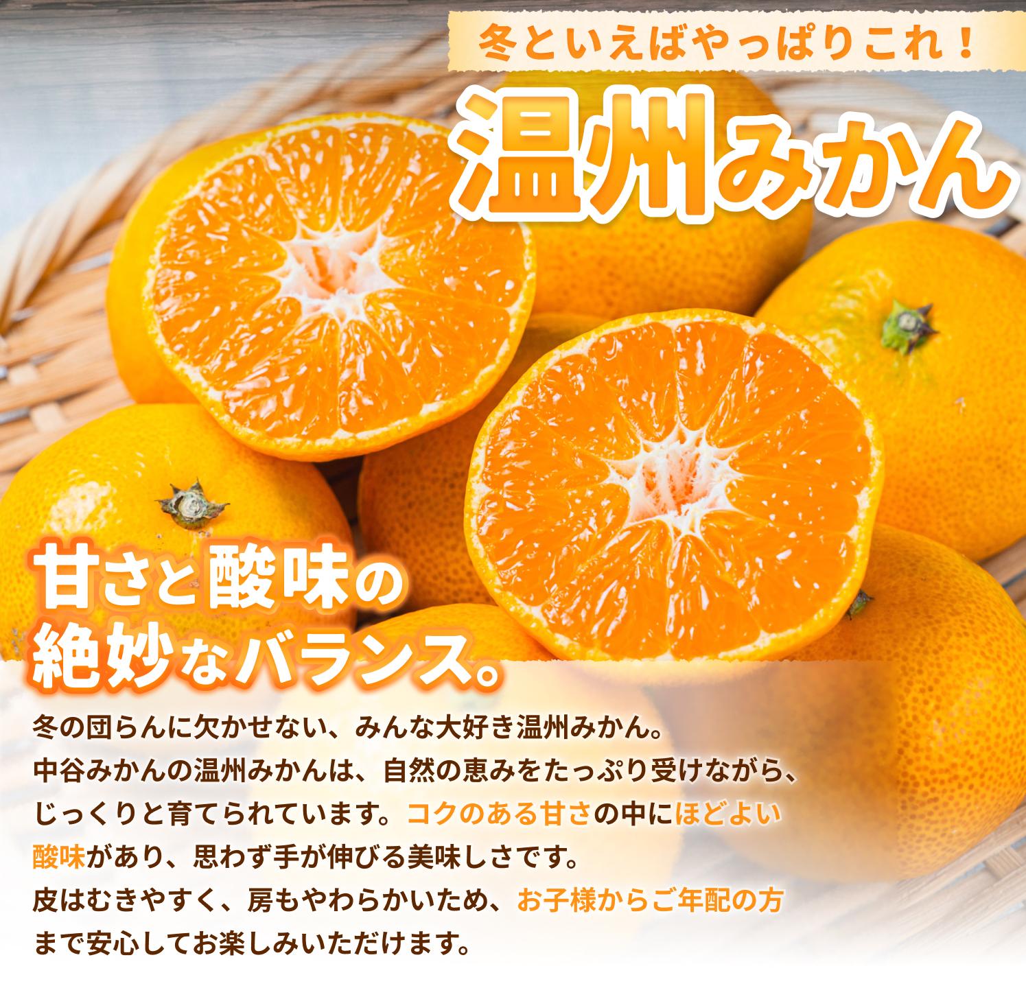温州みかん 10kg 2S〜2Lサイズ混合 12月発送 / 温州 ミカン 農家直送　完熟 密柑 くだもの  果実  柑橘 果物 フルーツ 和歌山県 由良町 人気 おすすめ 産地直送 ※2026年12月上旬頃～12月下旬頃に順次発送予定【nktn004-r-10-dec】